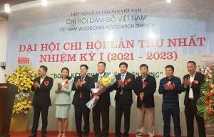 Chi Hội Dăm gỗ Việt Nam tổ chức Đại hội lần thứ nhất