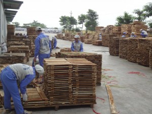 Bốn thách thức về nguồn nguyên liệu gỗ năm 2017