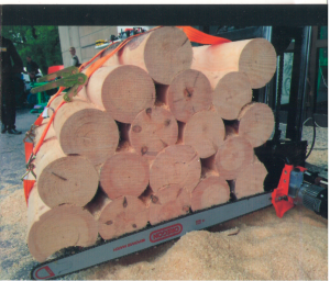 Máy chế biến gỗ Victar