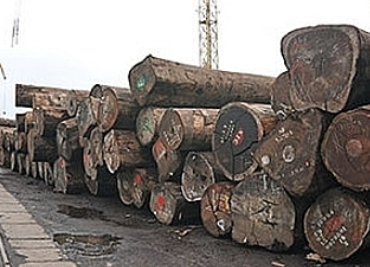 Nhận diện và đề xuất các biện pháp giảm thiểu rủi ro gỗ nhập khẩu