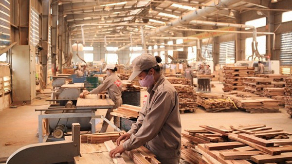 Kim ngạch xuất khẩu gỗ và sản phẩm gỗ của Việt Nam sang thị trường Trung Quốc tăng nhẹ