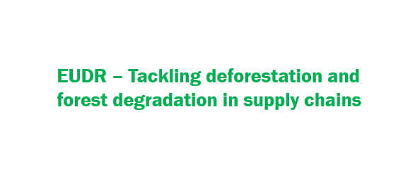 EU đồng ý luật chống phá rừng và suy thoái rừng toàn cầu được thúc đẩy bởi sản xuất và tiêu dùng của EU